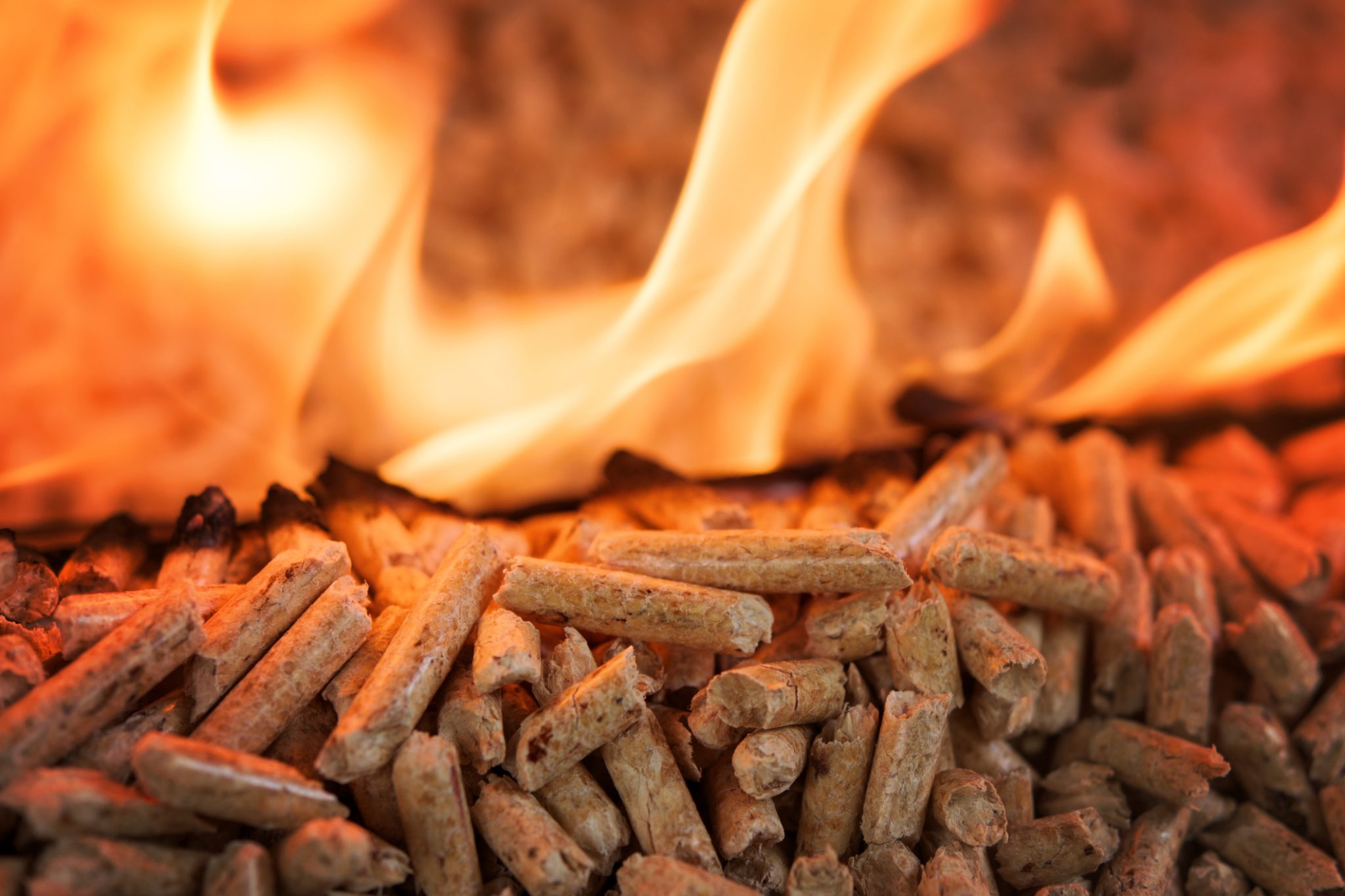 Wood pellets burning with bright flames; close-up of renewable biomass fuel for heating.